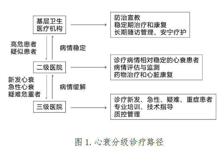 心力衰竭分級(jí)診療服務(wù)技術(shù)方案